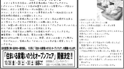 でんきはうす通信 -2016年 秋号 9月末日